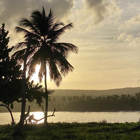 Yes Papa! Rooms Only 100M From The Beach! Las Galeras Ngoại thất bức ảnh