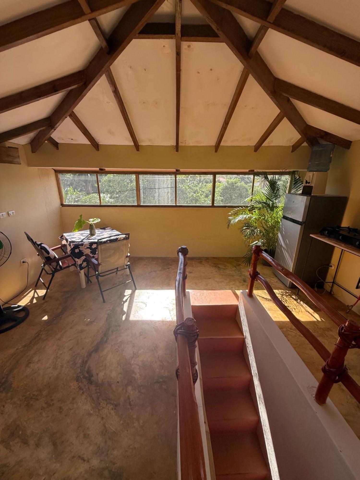 Yes Papa! Rooms Only 100M From The Beach! Las Galeras Ngoại thất bức ảnh