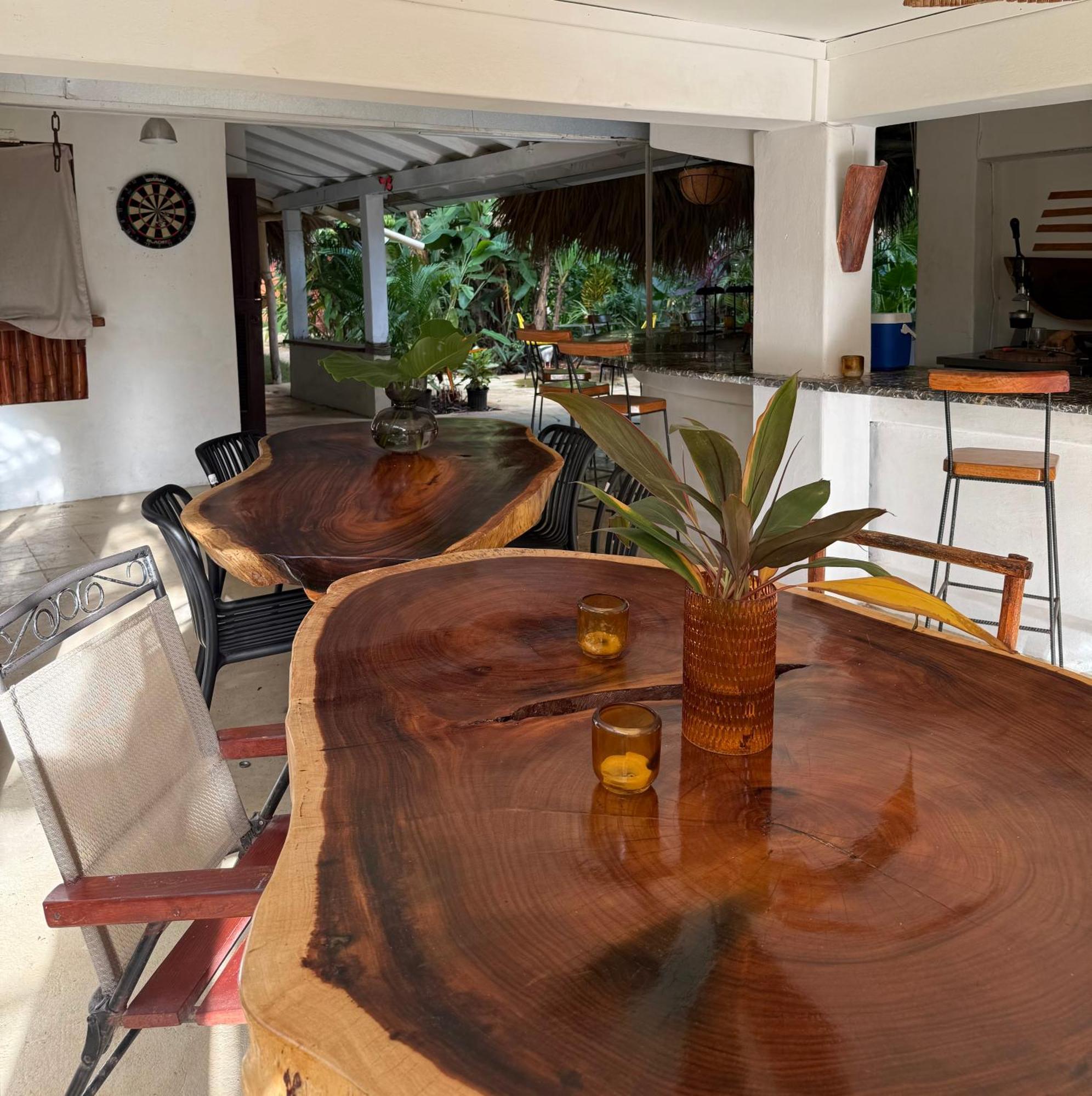 Yes Papa! Rooms Only 100M From The Beach! Las Galeras Ngoại thất bức ảnh