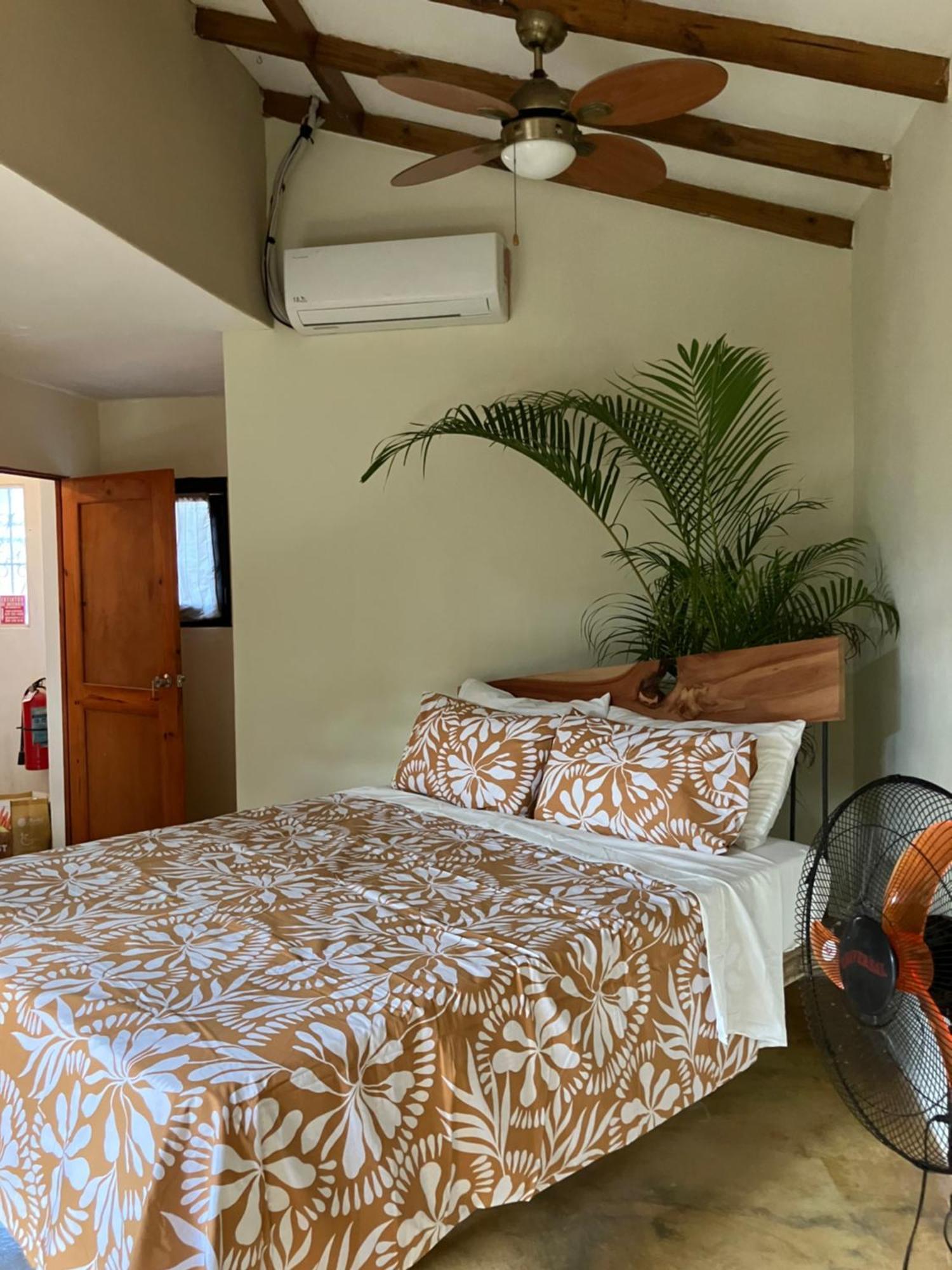 Yes Papa! Rooms Only 100M From The Beach! Las Galeras Ngoại thất bức ảnh